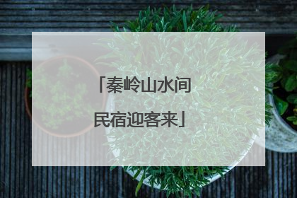 秦岭山水间 民宿迎客来