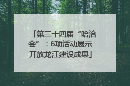 第三十四届“哈洽会”：6项活动展示开放龙江建设成果