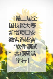 第三届全国技能大赛新增项目安徽省选拔赛“软件测试”赛项圆满举行