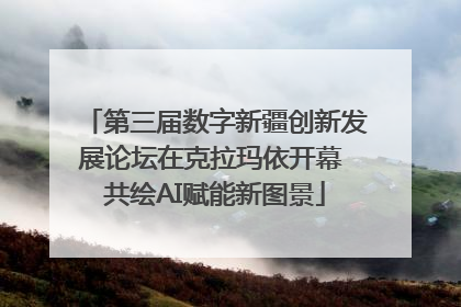 第三届数字新疆创新发展论坛在克拉玛依开幕 共绘AI赋能新图景