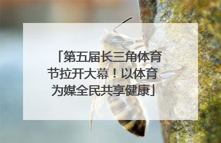 第五届长三角体育节拉开大幕！以体育为媒全民共享健康