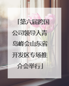 第六届跨国公司领导人青岛峰会山东省开发区专场推介会举行