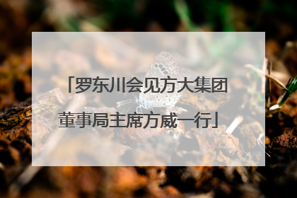 罗东川会见方大集团董事局主席方威一行