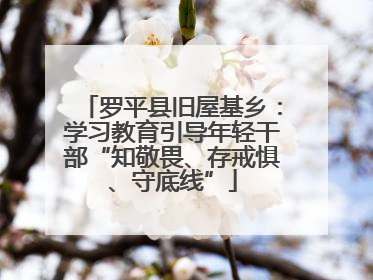 罗平县旧屋基乡：学习教育引导年轻干部“知敬畏、存戒惧、守底线”