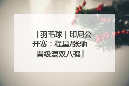 羽毛球｜印尼公开赛：程星/张驰晋级混双八强
