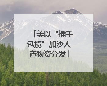 美以“插手包揽”加沙人道物资分发