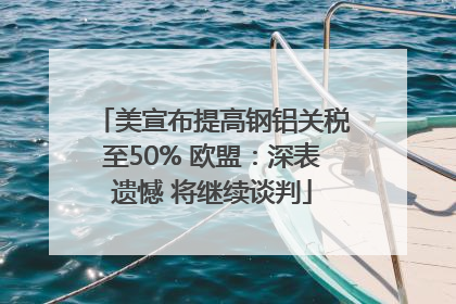 美宣布提高钢铝关税至50% 欧盟：深表遗憾 将继续谈判