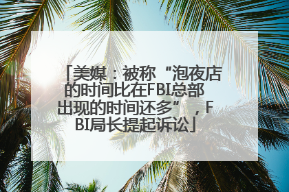 美媒：被称“泡夜店的时间比在FBI总部出现的时间还多”，FBI局长提起诉讼