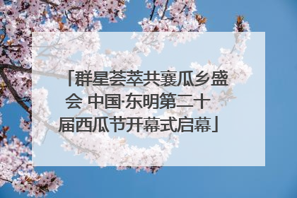 群星荟萃共襄瓜乡盛会 中国·东明第二十届西瓜节开幕式启幕