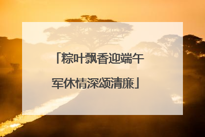 粽叶飘香迎端午 军休情深颂清廉