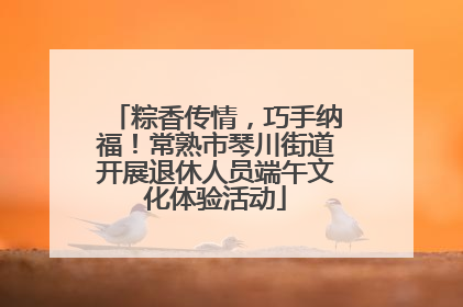 粽香传情，巧手纳福！常熟市琴川街道开展退休人员端午文化体验活动