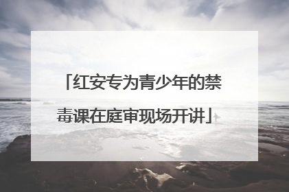 红安专为青少年的禁毒课在庭审现场开讲