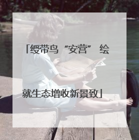 绶带鸟“安营” 绘就生态增收新景致