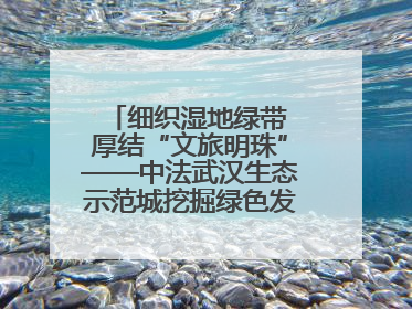 细织湿地绿带 厚结“文旅明珠”——中法武汉生态示范城挖掘绿色发展新动能