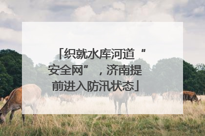 织就水库河道“安全网”，济南提前进入防汛状态