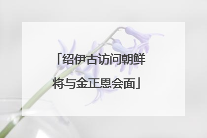 绍伊古访问朝鲜 将与金正恩会面
