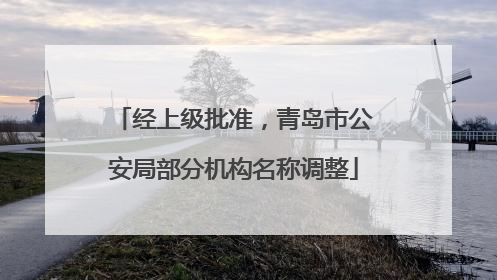 经上级批准，青岛市公安局部分机构名称调整