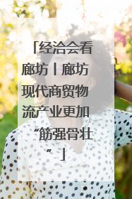 经洽会看廊坊丨廊坊现代商贸物流产业更加“筋强骨壮”