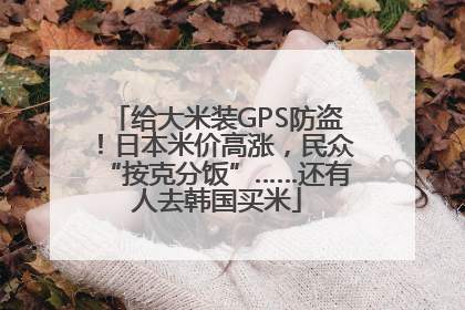 给大米装GPS防盗！日本米价高涨，民众“按克分饭”……还有人去韩国买米