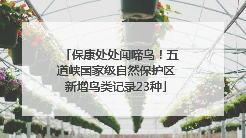 保康处处闻啼鸟！五道峡国家级自然保护区新增鸟类记录23种