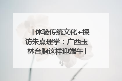 体验传统文化+探访朱熹理学：广西玉林台胞这样迎端午