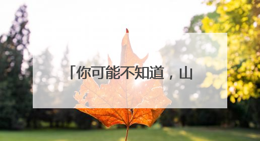 你可能不知道，山东为了古籍有多拼