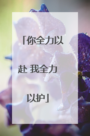 你全力以赴 我全力以护