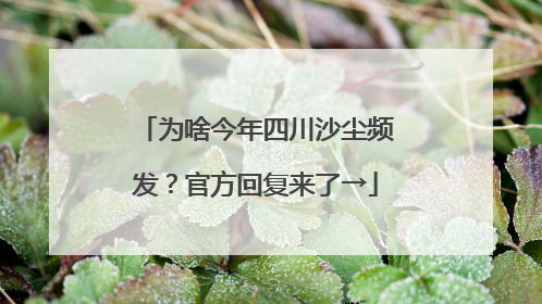 为啥今年四川沙尘频发？官方回复来了→