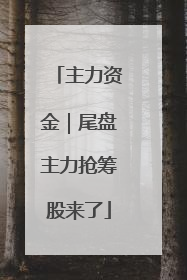 主力资金｜尾盘主力抢筹股来了