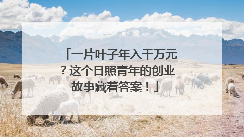 一片叶子年入千万元？这个日照青年的创业故事藏着答案！