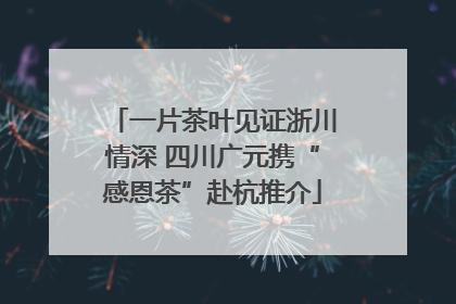 一片茶叶见证浙川情深 四川广元携“感恩茶”赴杭推介
