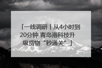 一线调研丨从4小时到20分钟 青岛港科技升级货物“秒通关”