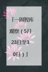 一周智库观察（5月23日至30日）