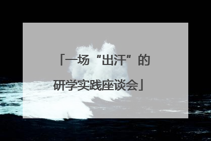 一场“出汗”的研学实践座谈会