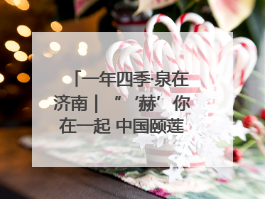 一年四季·泉在济南｜“‘赫’你在一起 中国颐莲喷雾节”盛大开启 共赴水润之约