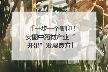一步一个脚印！安图中药材产业“开出”发展良方