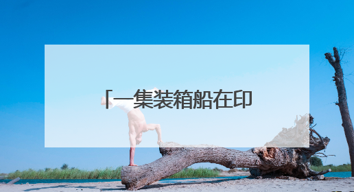 一集装箱船在印度南部海域沉没，印度国防部发声