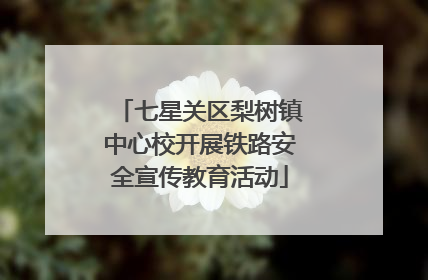 七星关区梨树镇中心校开展铁路安全宣传教育活动