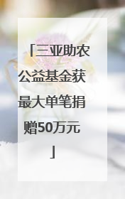 三亚助农公益基金获最大单笔捐赠50万元