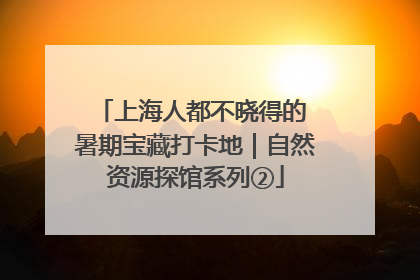 上海人都不晓得的 暑期宝藏打卡地｜自然资源探馆系列②