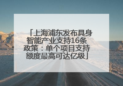 上海浦东发布具身智能产业支持16条政策：单个项目支持额度最高可达亿级