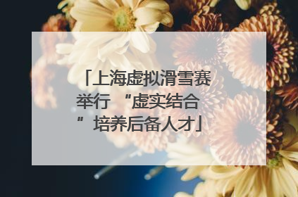 上海虚拟滑雪赛举行 “虚实结合”培养后备人才