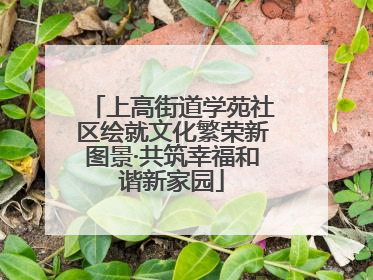 上高街道学苑社区绘就文化繁荣新图景·共筑幸福和谐新家园