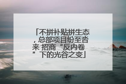 不拼补贴拼生态，总部项目纷至沓来 招商“反内卷”下的光谷之变