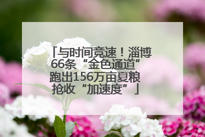 与时间竞速！淄博66条“金色通道”跑出156万亩夏粮抢收“加速度”