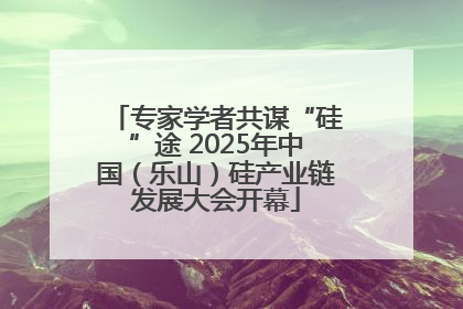 专家学者共谋“硅”途 2025年中国（乐山）硅产业链发展大会开幕