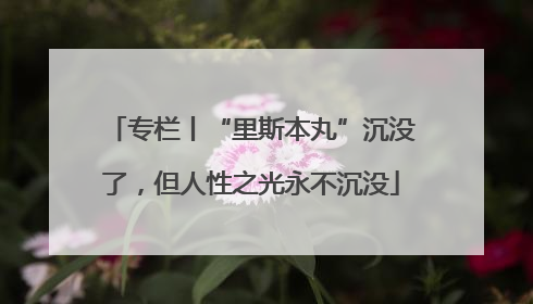 专栏丨“里斯本丸”沉没了，但人性之光永不沉没