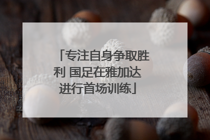 专注自身争取胜利 国足在雅加达进行首场训练