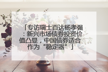 专访瑞士百达杨孝强：新兴市场债券投资价值凸显，中国债券适合作为“稳定器”