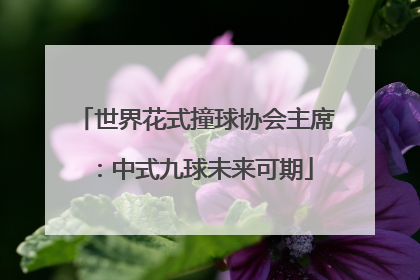 世界花式撞球协会主席：中式九球未来可期